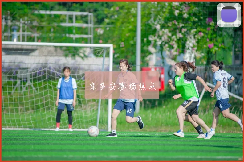 京多安赛场焦点
