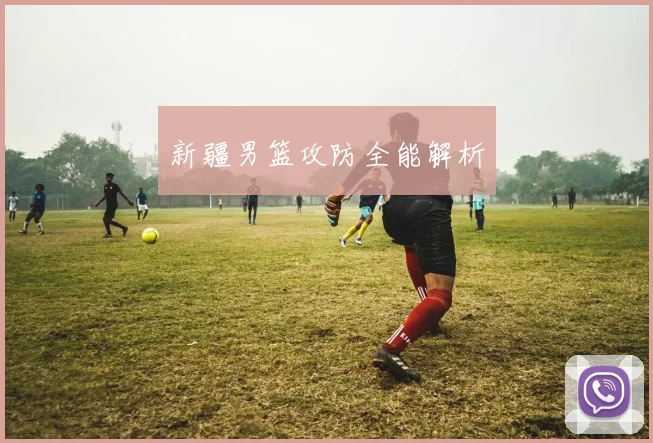 新疆男篮攻防全能解析