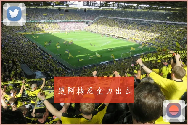 楚阿梅尼全力出击