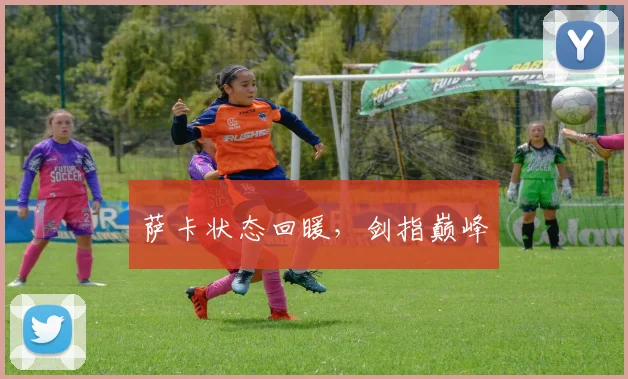 萨卡状态回暖，剑指巅峰