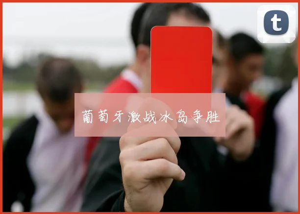 葡萄牙激战冰岛争胜