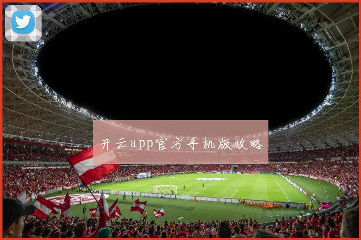 开云app官方手机版攻略