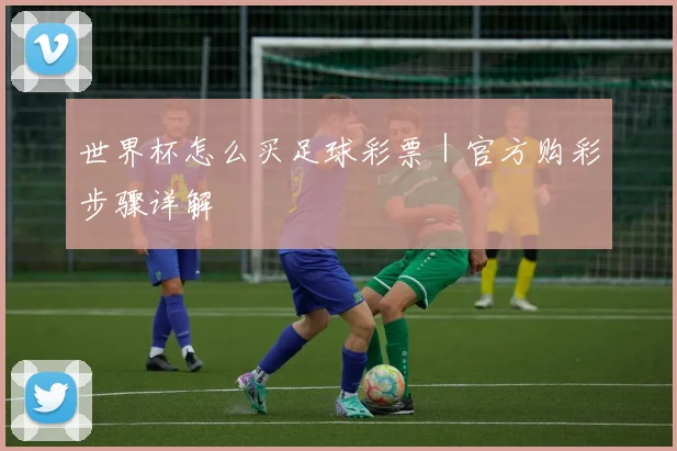 世界杯怎么买足球彩票｜官方购彩步骤详解
