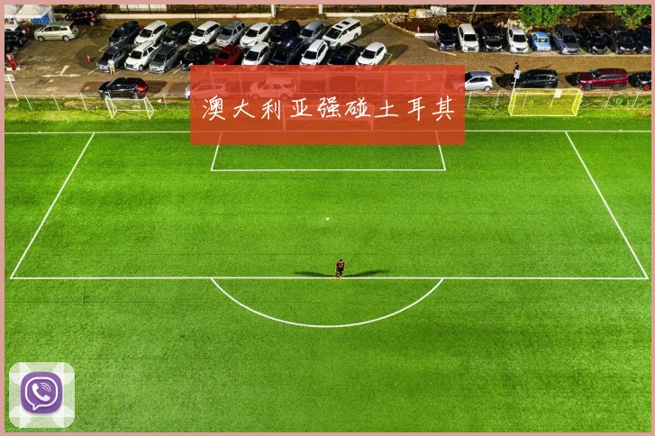 澳大利亚强碰土耳其