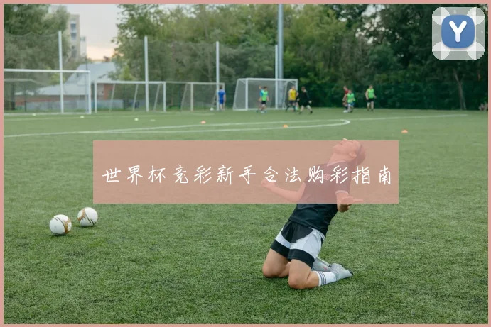 世界杯竞彩新手合法购彩指南