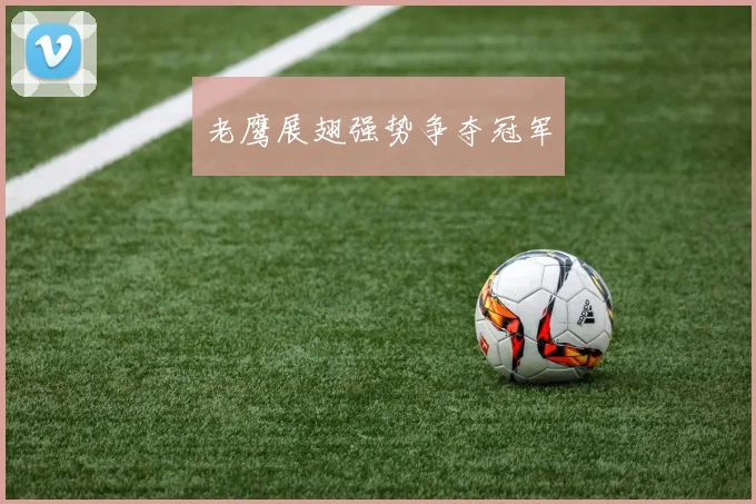 老鹰展翅强势争夺冠军