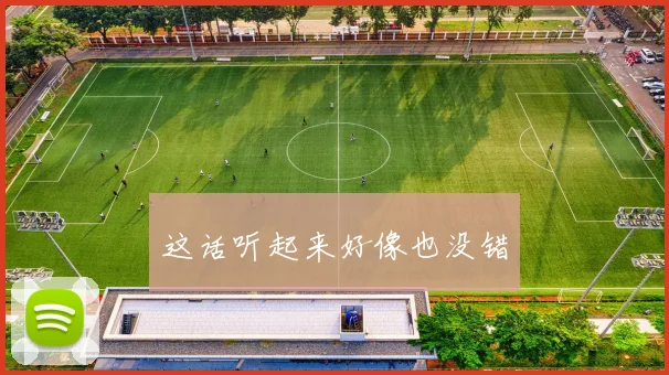 这话听起来好像也没错