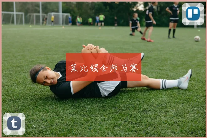 莱比锡会师马赛