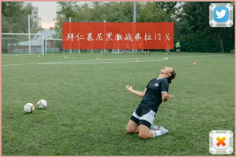 拜仁慕尼黑激战弗拉门戈