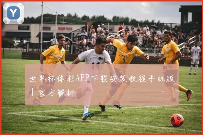 世界杯体彩APP下载安装教程手机版｜官方解析