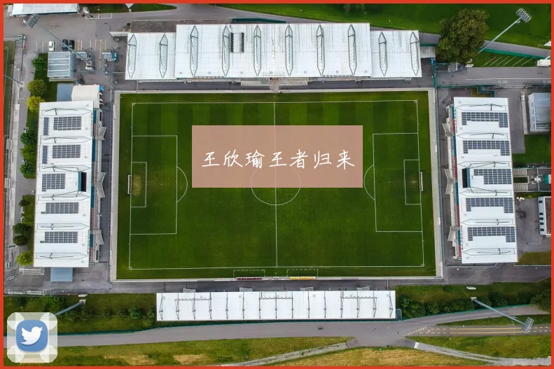 王欣瑜王者归来
