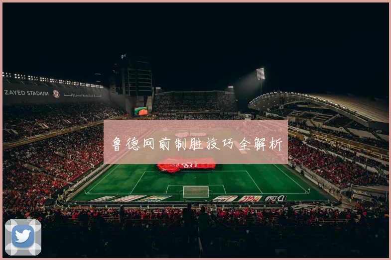 鲁德网前制胜技巧全解析
