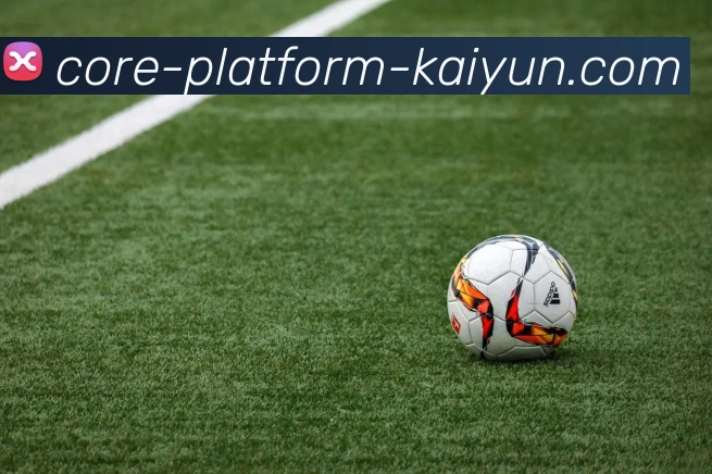 开云Kaiyun体育app官网登录入口App下载