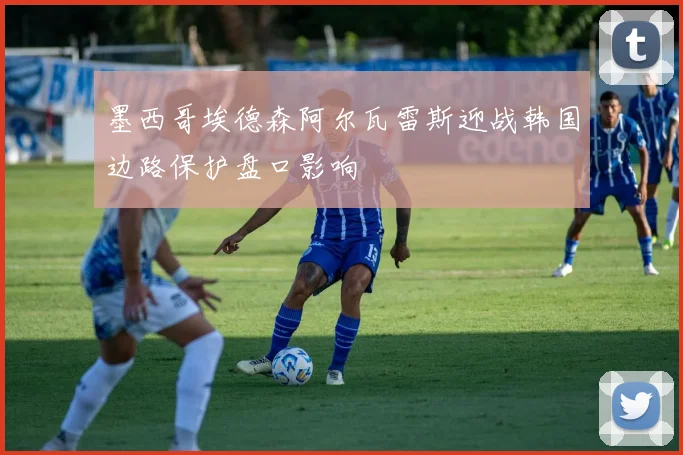 墨西哥埃德森阿尔瓦雷斯迎战韩国边路保护盘口影响