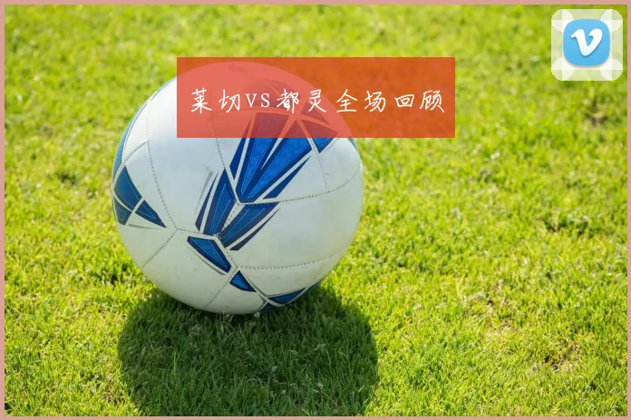 莱切vs都灵全场回顾