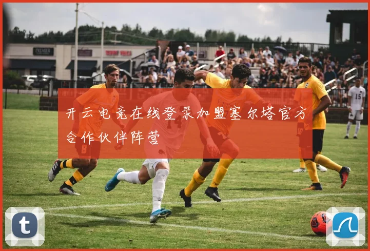 开云电竞在线登录加盟塞尔塔官方合作伙伴阵营
