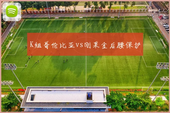 K组哥伦比亚vs刚果金后腰保护
